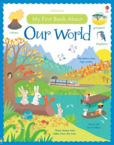my first book about our world-9781409597896