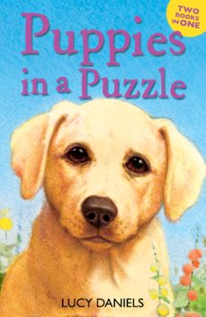 puppies in a puzzle (ebook)-lucy daniels-9781444914696