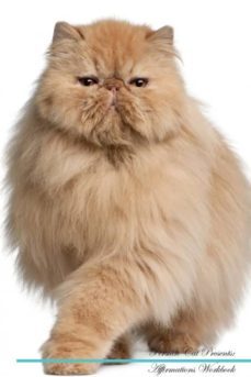 persian cat affirmations workbook persian cat presents-9781526972996