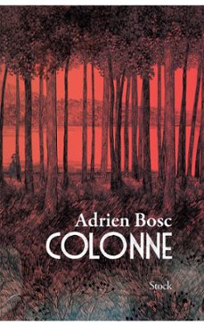 colonne (ebook)-adrien bosc-9782234079496