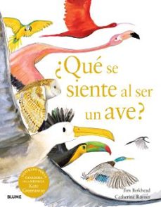 ¿que se siente al ser un ave?-9788410048096