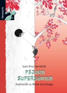 pajaro supersonico-juan kruz igerabide-9788415426196