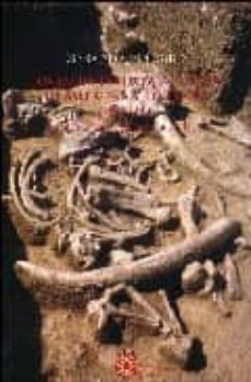 los yacimientos paleoliticos de ambrona y torralba (soria): un si glo de investigaciones arqueologicas-9788445127896