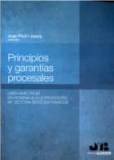 principios y garantias procesales-9788494130496