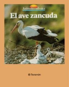 el ave zancuda (ebook)-equipo parramon-9788499103396