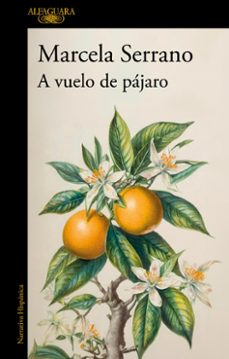 a vuelo de pájaro (ebook)-marcela serrano-9789563844696