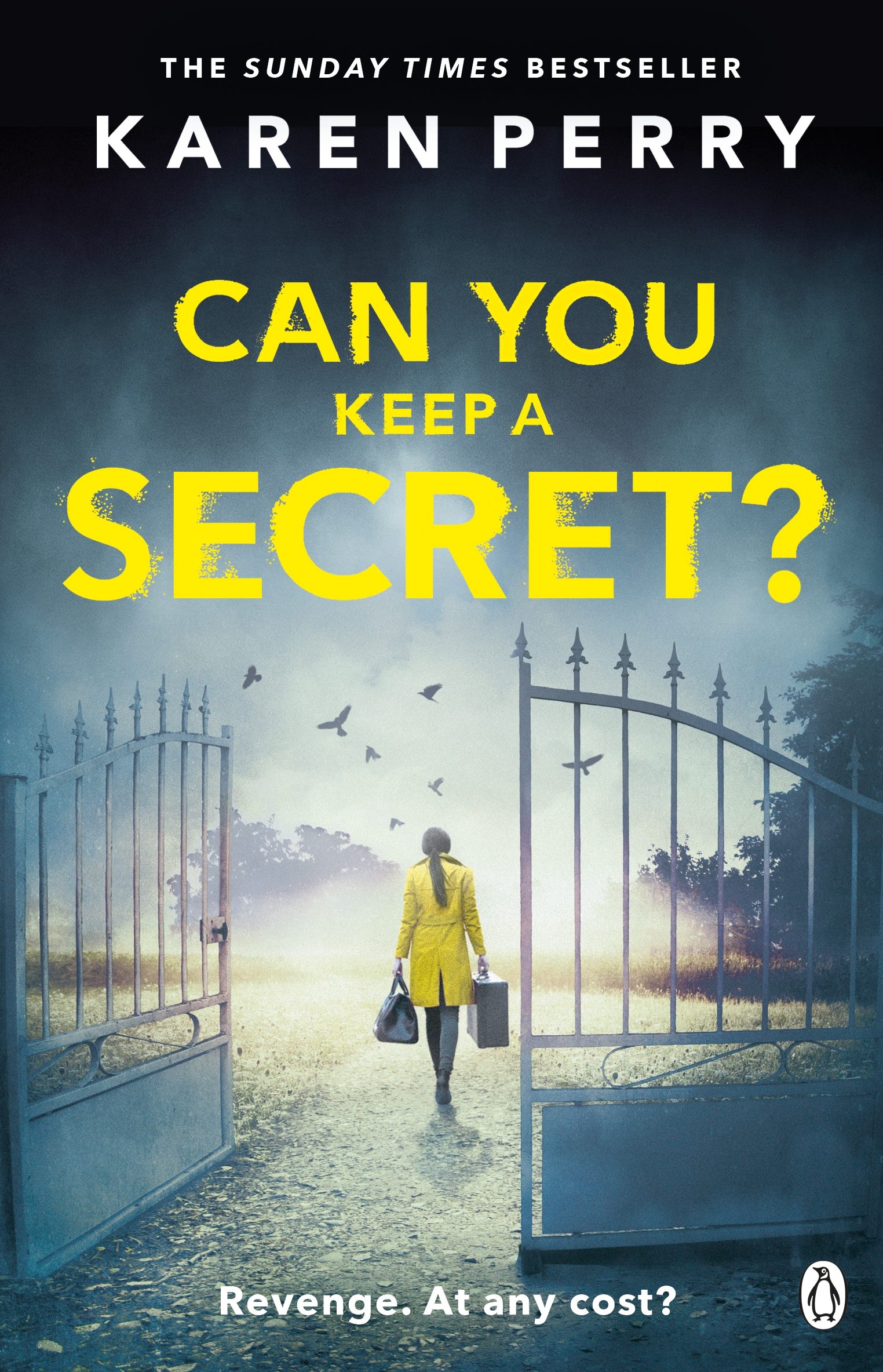 Can You Keep A Secret Novel Pdf