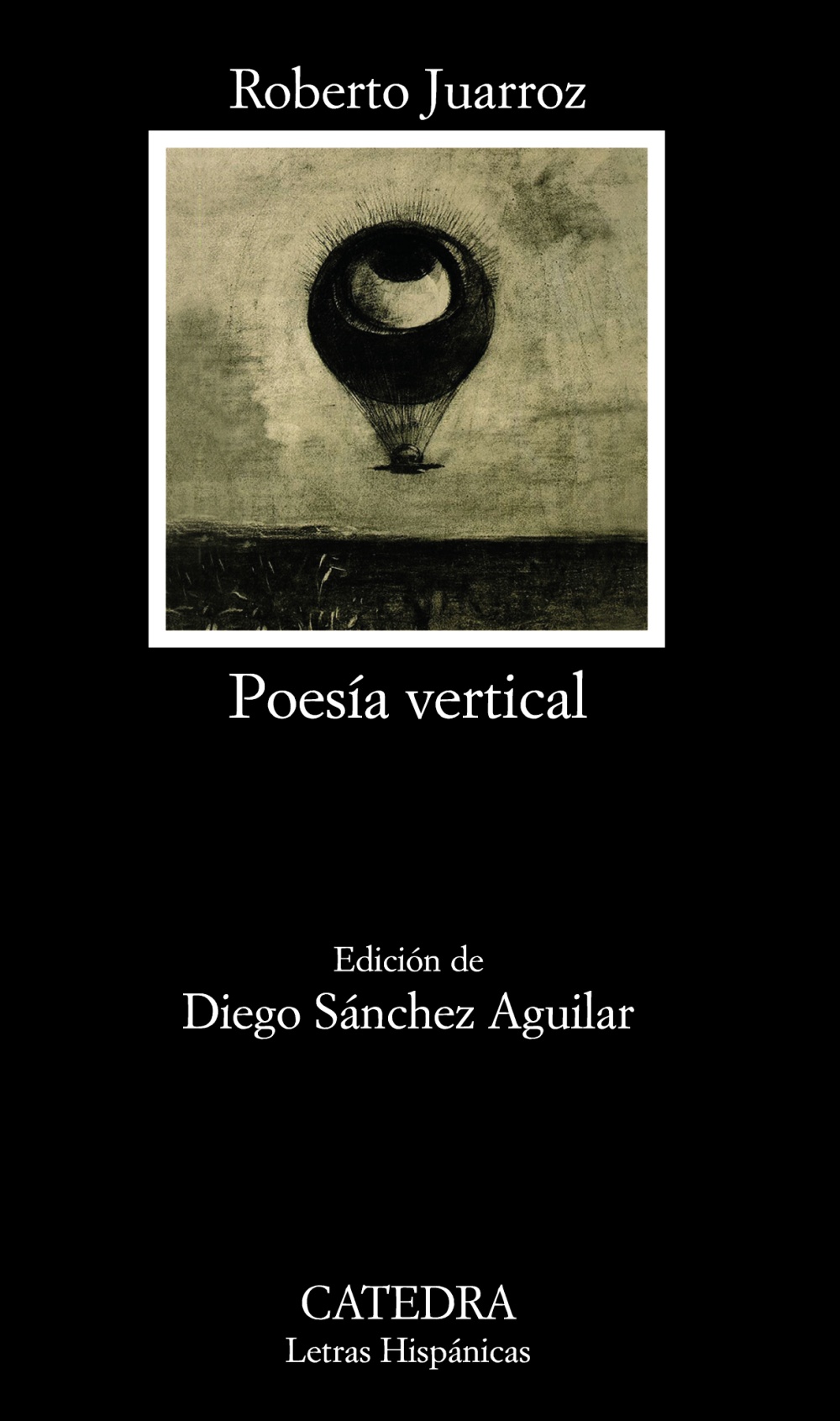 Resultado de imagen de roberto juarroz poesia vertical