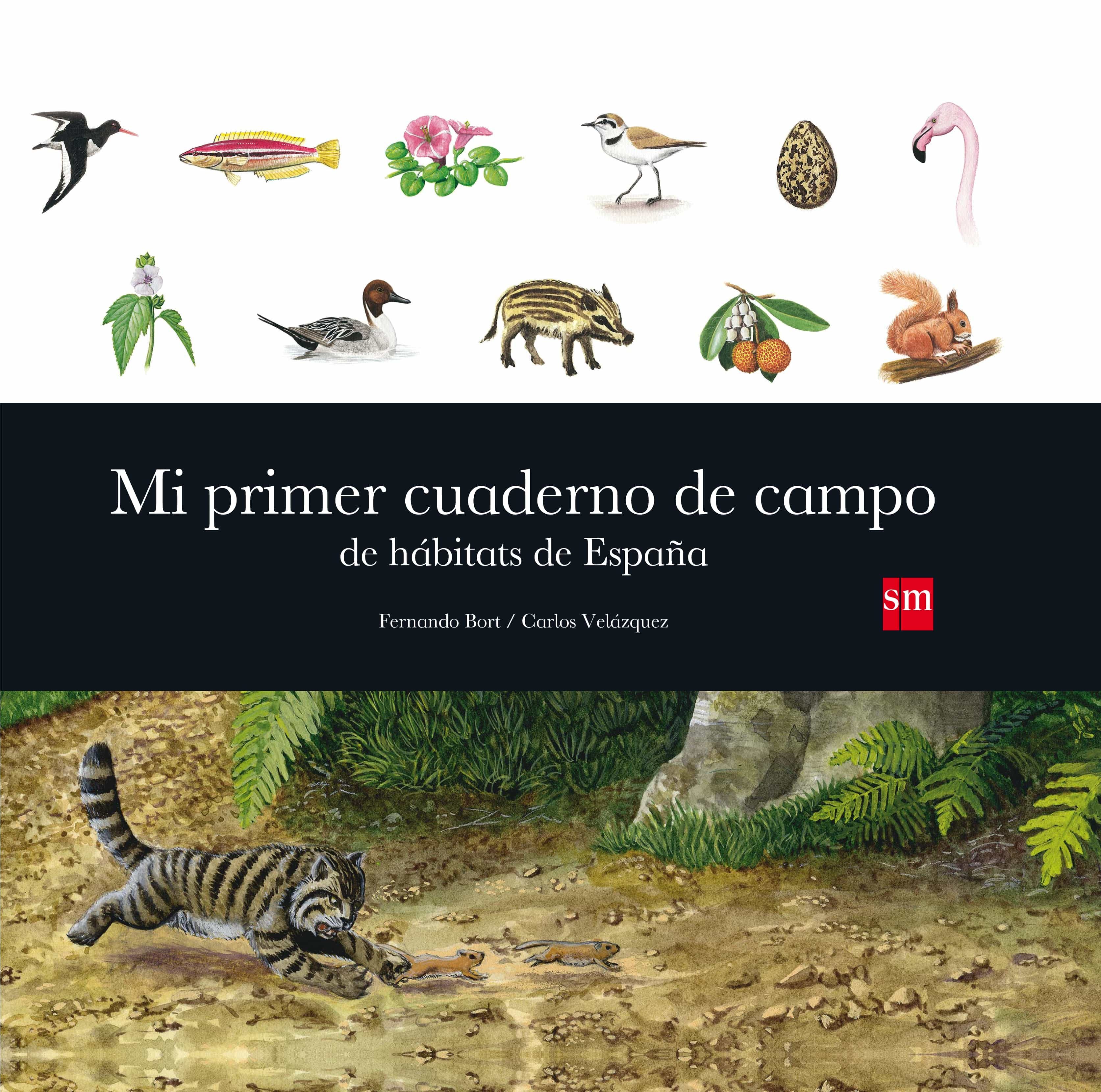 Mi Primer Cuaderno De Campo De Hábitats De España por Fernando Bort Misol