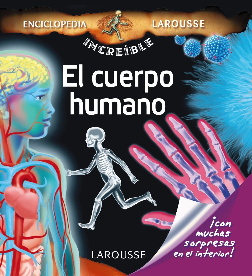 El Cuerpo Humano Libro Good Cuerpo Humano Libro Linterna Amazones Susaeta Ediciones S A Libros