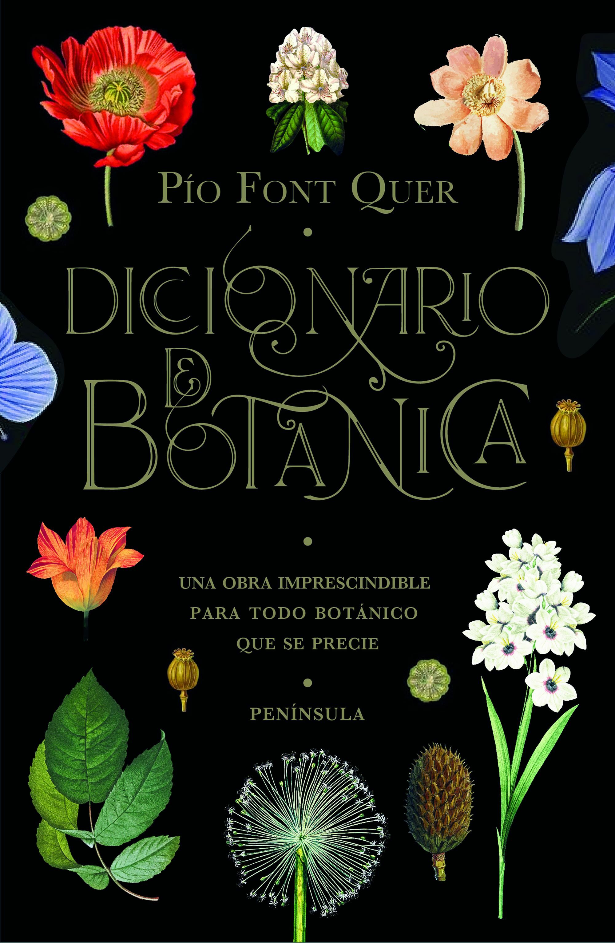 DICCIONARIO DE BOTÁNICA | PIO FONT QUER | Comprar Libro 9788499429076