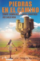 piedras en el camino-jose carlos mesa-9788494607066 piedras en el camino-jose carlos mesa-9788494607066