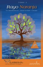 rayo naranja (ebook)-delia sanjurjo rivera-9786074104486 rayo naranja (ebook)-delia sanjurjo rivera-9786074104486