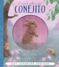 es hora de volver a casa, conejito (pop up) (libro sorpresa)-john butler-9788426137906 es hora de volver a casa, conejito (pop up) (libro sorpresa)-john butler-9788426137906