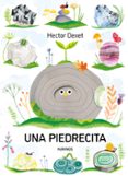 Una piedrecita-18516084-otro-formato