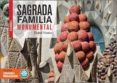 sagrada familia monumental (castellano)-daniel venteo-9788416547616 sagrada familia monumental (castellano)-daniel venteo-9788416547616