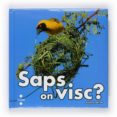 saps on visc?-stephane frattini-9788466125116 saps on visc?-stephane frattini-9788466125116