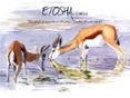 etosha-francisco hernandez-9788494670916 etosha francisco hernandez 9788494670916