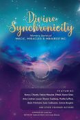 Descargar archivos pdf del libro DIVINE SYNCHRONICITY  (edición en inglés) (Literatura española) de LINDA JOY 9798991162616 RTF