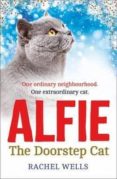 alfie the doorstep cat-rachel wells-9780008101626 alfie the doorstep cat-rachel wells-9780008101626