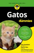 gatos para dummies (ebook)-9788432901126 gatos para dummies (ebook)-9788432901126