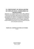 el expediente de regulacion de empleo en el concurso de acreedore s-maria carmen de vivero de porras-9788498764826 el expediente de regulacion de empleo en el concurso de acreedore s-maria carmen de vivero de porras-9788498764826