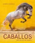los caballos mas bellos del mundo-9783864075636 los caballos mas bellos del mundo-9783864075636