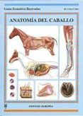 anatomia del caballo-chris colles-9788425515736 anatomia del caballo-chris colles-9788425515736