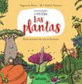 las plantas (curiosidades en verso)-sagrario pinto-mª isabel fuentes-9788469833636 las plantas (curiosidades en verso)-sagrario pinto-mª isabel fuentes-9788469833636