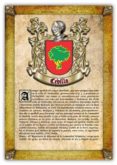 apellido cedillo / origen, historia y heraldica de los linajes y apellidos españoles e hispanoamericanos (ebook)-2910019085876 apellido cedillo / origen, historia y heraldica de los linajes y apellidos españoles e hispanoamericanos (ebook)-2910019085876