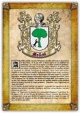 apellido mollevi / origen, historia y heraldica de los linajes y apellidos españoles e hispanoamericanos (ebook)-2910021749667 apellido mollevi / origen, historia y heraldica de los linajes y apellidos españoles e hispanoamericanos (ebook)-2910021749667