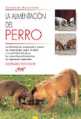 La alimentación del perro-7259735-otro-formato