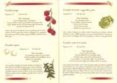 cocina para celiacos-9788415401346 cocina para celiacos-9788415401346