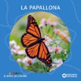 La papallona-12176374-otro-formato