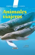 animales viajeros (ebook)-lucia mora-9788467757446 animales viajeros (ebook)-lucia mora-9788467757446