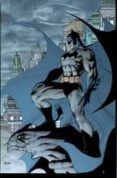 batman silencio-jeph loeb-jim lee-9788468402246 batman silencio-jeph loeb-jim lee-9788468402246