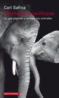 mentes maravillosas: lo que piensan y sienten los animales-carl safina-9788481095746 mentes maravillosas: lo que piensan y sienten los animales-carl safina-9788481095746