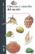 conchas y caracolas del mundo-giovanna zobele lipparini-9788496553446 conchas y caracolas del mundo-giovanna zobele lipparini-9788496553446