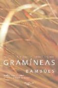 gramineas y bambues-noel kingsbury-9788431535056 gramineas y bambues-noel kingsbury-9788431535056