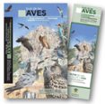 guia de las aves del parque nacional de monfragüe y entorno (extr emadura)-9788460860556 guia de las aves del parque nacional de monfragüe y entorno (extr emadura)-9788460860556