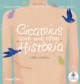 cicatrius amb una altra història-9788491376156 cicatrius amb una altra història-9788491376156