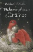 metamorphose en bord de ciel-mathias malzieu-9782081249066 metamorphose en bord de ciel-mathias malzieu-9782081249066