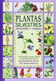 plantas silvestres, infusiones (el sabor de nuestra tierra)-9788415401766 plantas silvestres, infusiones (el sabor de nuestra tierra)-9788415401766