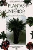 descubrir las plantas de interior: cultivo, mantenimiento y diseñ o-francisco javier alonso de la paz-isabel lopez perez-9788482380766 descubrir las plantas de interior: cultivo, mantenimiento y diseñ o-francisco javier alonso de la paz-isabel lopez perez-9788482380766