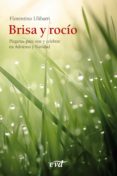 brisa y rocio (ebook)-9788490731666 brisa y rocio (ebook)-9788490731666