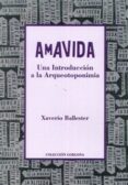 amavida una introduccion a la arqueotoponimia-xaverio ballester-9788496977266 amavida una introduccion a la arqueotoponimia-xaverio ballester-9788496977266