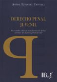 derecho penal juvenil: un estudio sobre la transformacion de los sistemas de justicia penal juvenil-anibal ezequiel crivelli-9789974708266 derecho penal juvenil: un estudio sobre la transformacion de los sistemas de justicia penal juvenil-anibal ezequiel crivelli-9789974708266