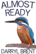 almost ready (ebook)-darryl brent-9781386833376 almost ready (ebook)-darryl brent-9781386833376