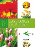 las flores de bulbo-9788430530076 las flores de bulbo-9788430530076