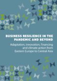 Descarga de libros electrónicos para Kindle BUSINESS RESILIENCE IN THE PANDEMIC AND BEYOND (Spanish Edition) 9789286150876 MOBI PDF